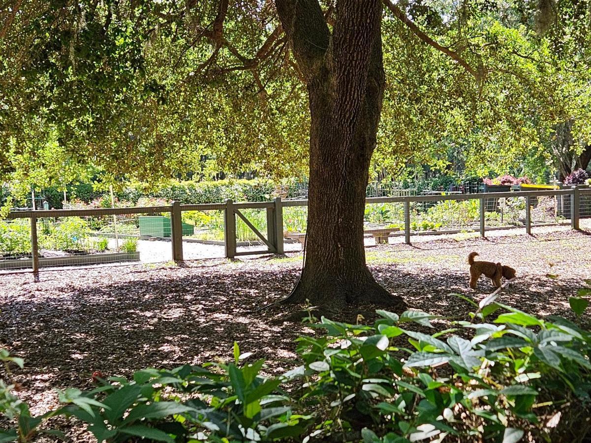 Low Country Cottage In Beautiful Habersham Beaufort Bagian luar foto