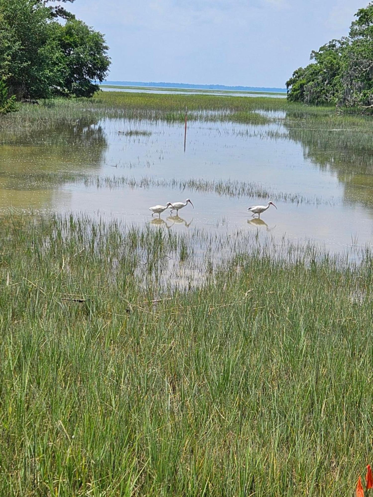 Low Country Cottage In Beautiful Habersham Beaufort Bagian luar foto