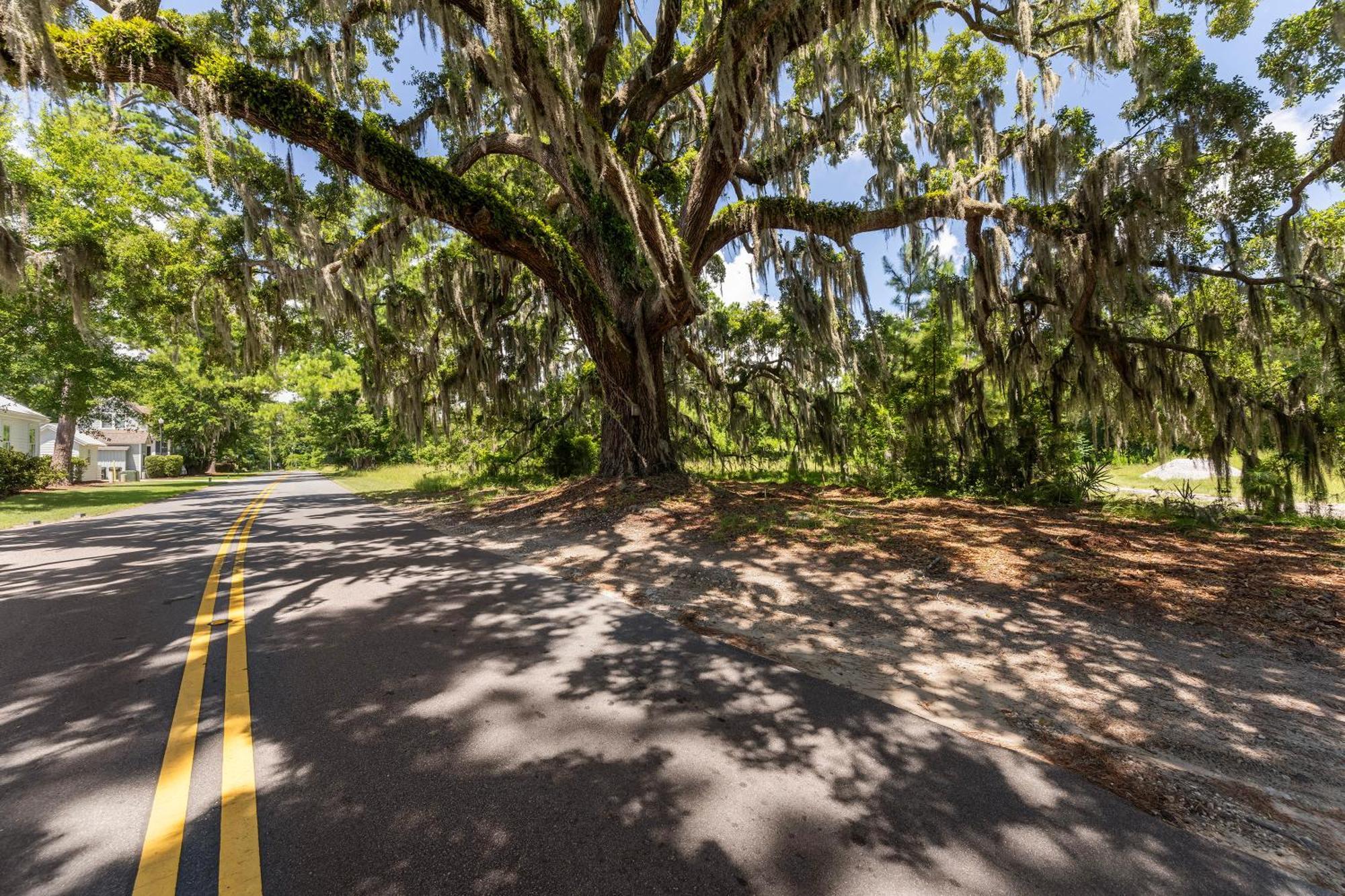 Low Country Cottage In Beautiful Habersham Beaufort Bagian luar foto